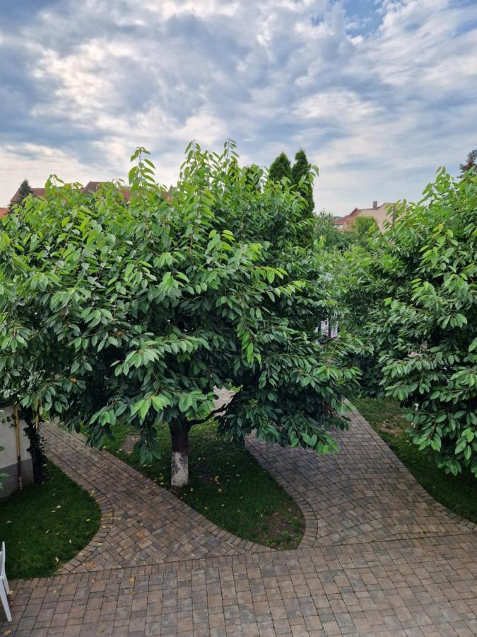 Atlantic Boutique Hotel Targu Mures Luaran gambar